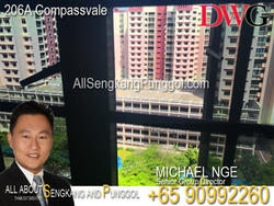 Blk 206A Compassvale Lane (Sengkang), HDB 5 Rooms #142973132